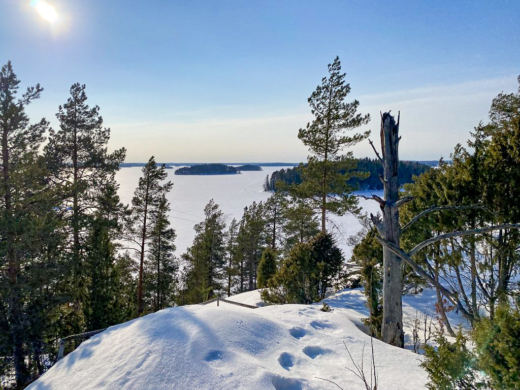 Xamk Savonlinna